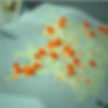 Map highlighting areas with varying rental prices