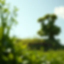 A thriving green landscape symbolizing environmental sustainability