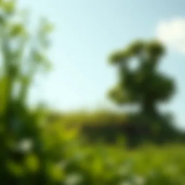 A thriving green landscape symbolizing environmental sustainability