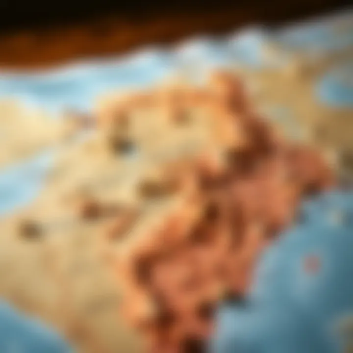 Detailed map showcasing mineral rights delineation