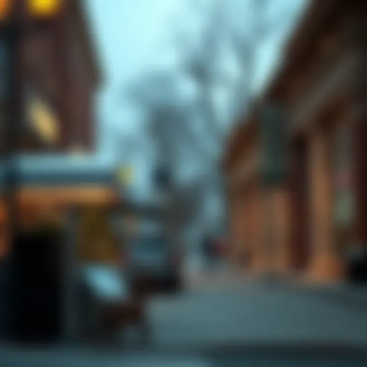 Comparison of community lenders and traditional banks