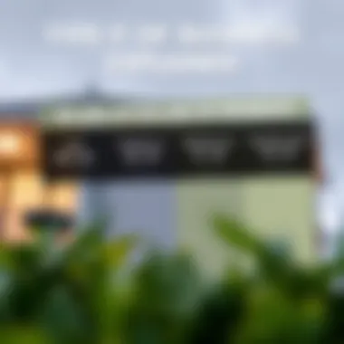 Types of Business Loans Explained Infographic displaying different loan types