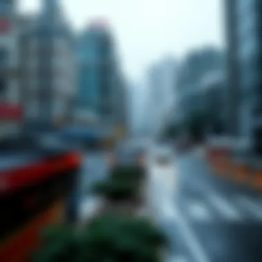 Impact of HSBC services on local businesses