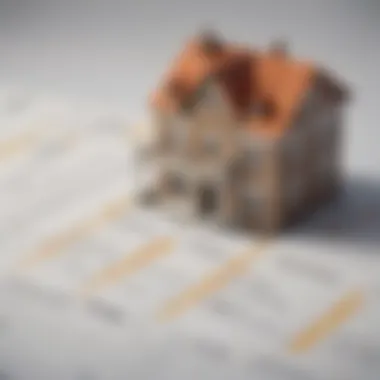 A detailed chart illustrating advantages and risks of no doc mortgages