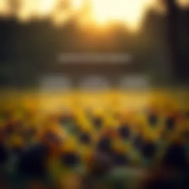 Diagram illustrating key factors in down payment decisions