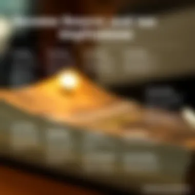 Income Sources and Their Tax Implications Infographic detailing various income sources and their tax implications